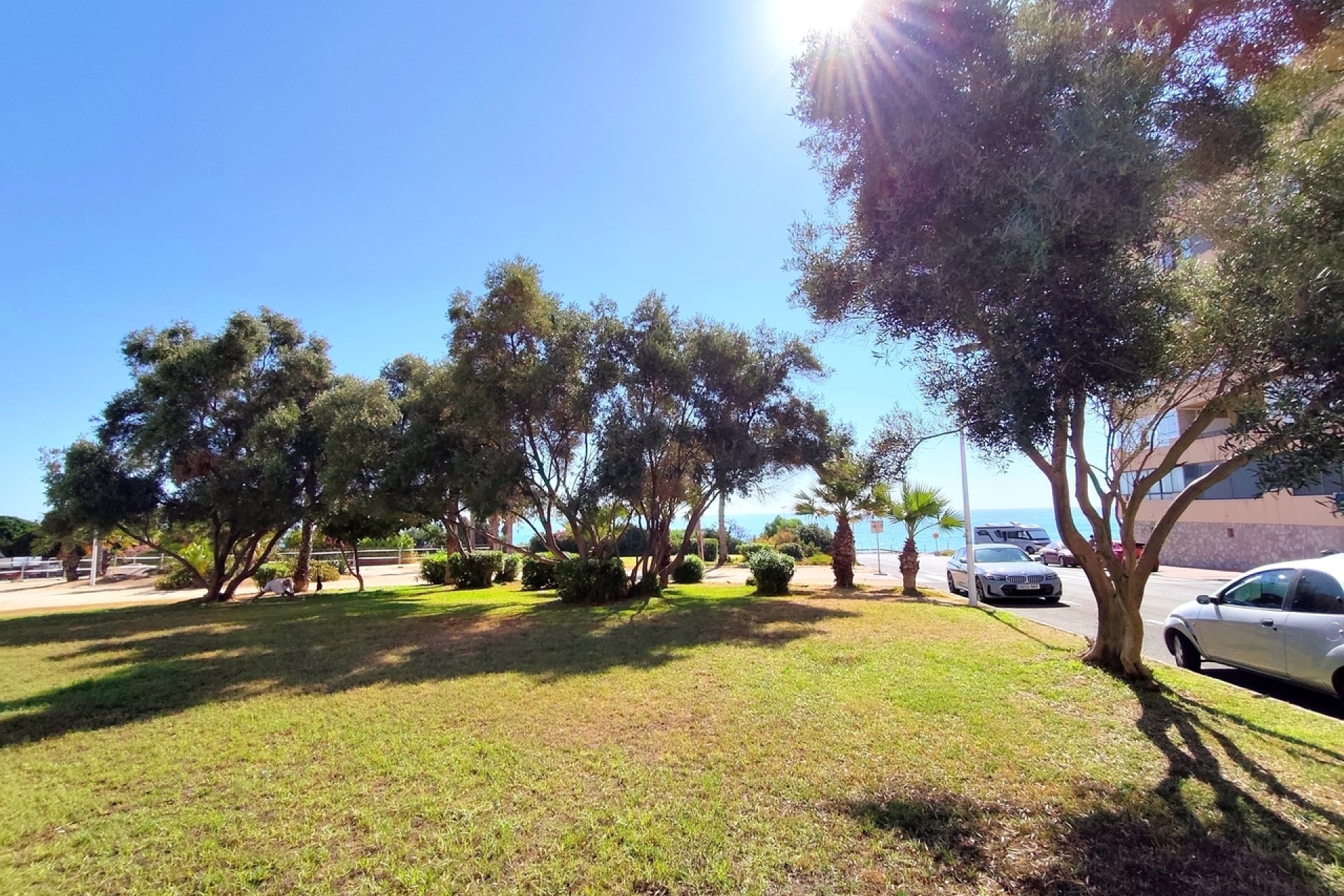 Reventa - Apartamento / Piso - Torrevieja