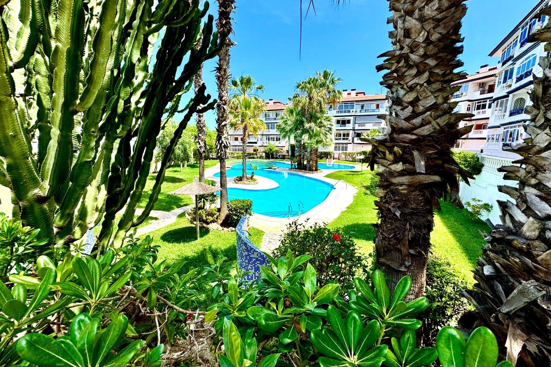 Reventa - Apartamento / Piso - Torrevieja