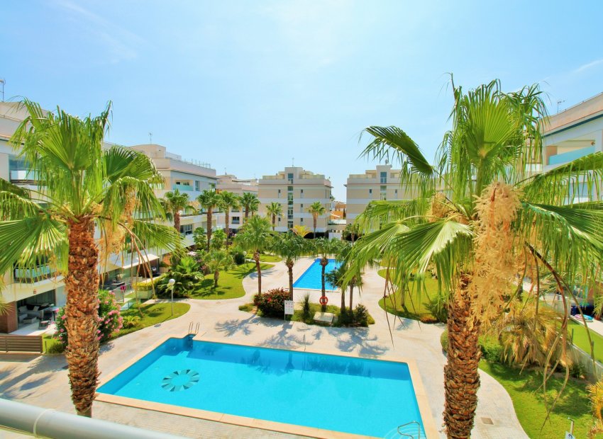 Reventa - Apartamento / Piso - Villamartin - Los Dolses