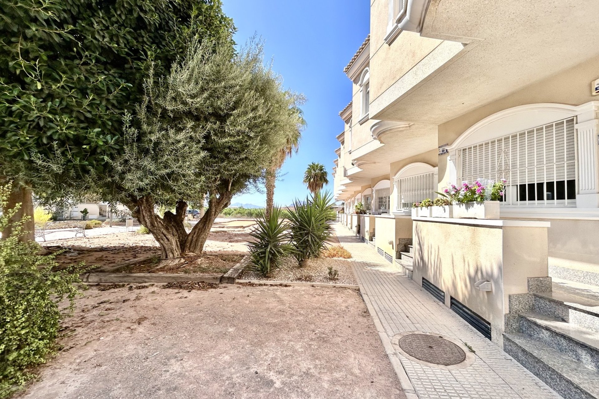 Reventa - Casa adosada - Formentera del Segura - Formentera De Segura
