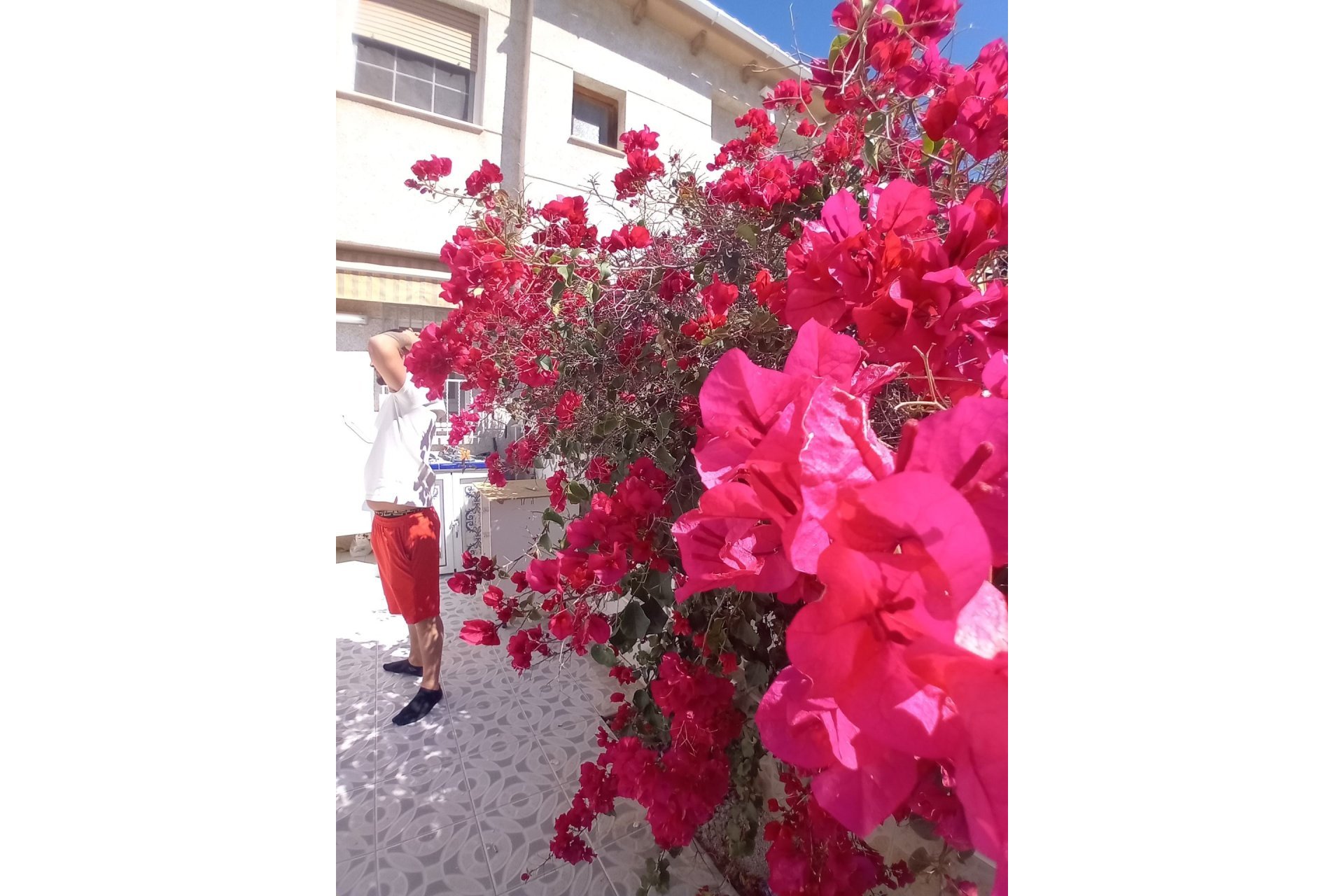 Reventa - Casa adosada - La Mata