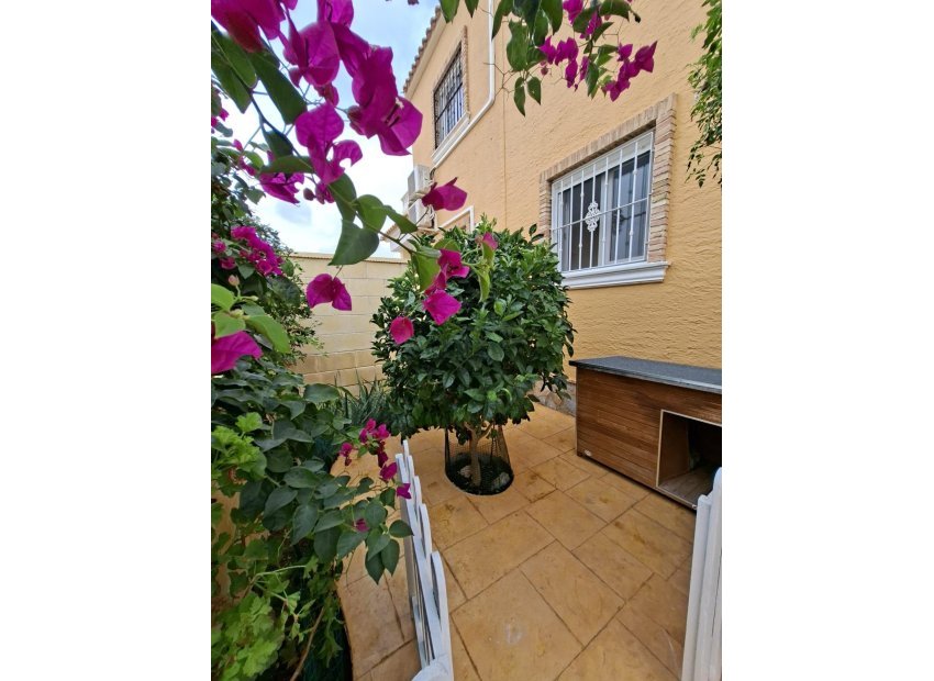 Reventa - Casa adosada - Rojales - Lo Marabu