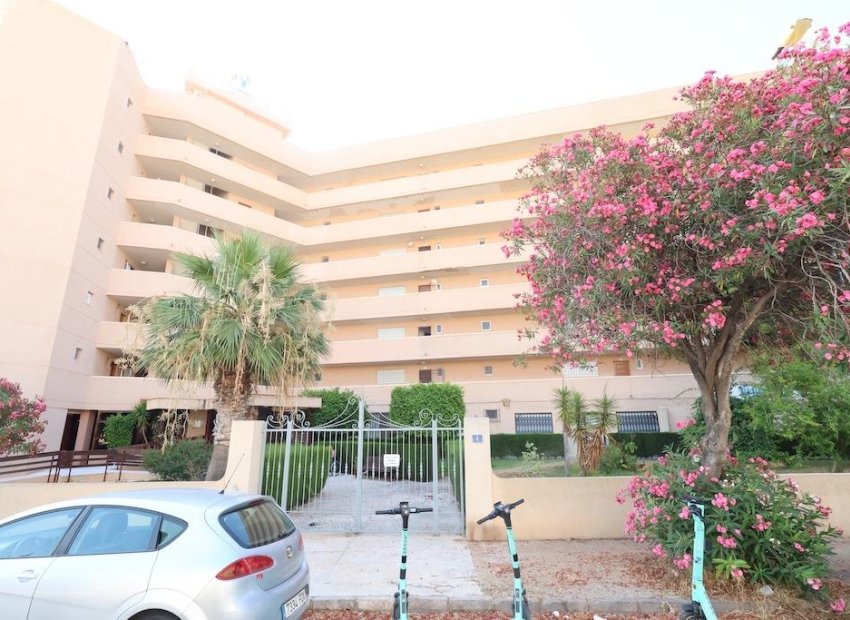 Reventa - Comercial - Orihuela Costa - La Zenia