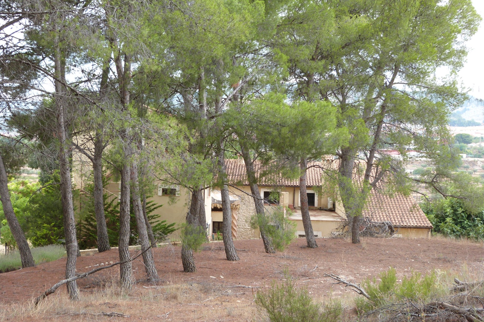 Reventa - Country Property - Ibi - Ibi - Country