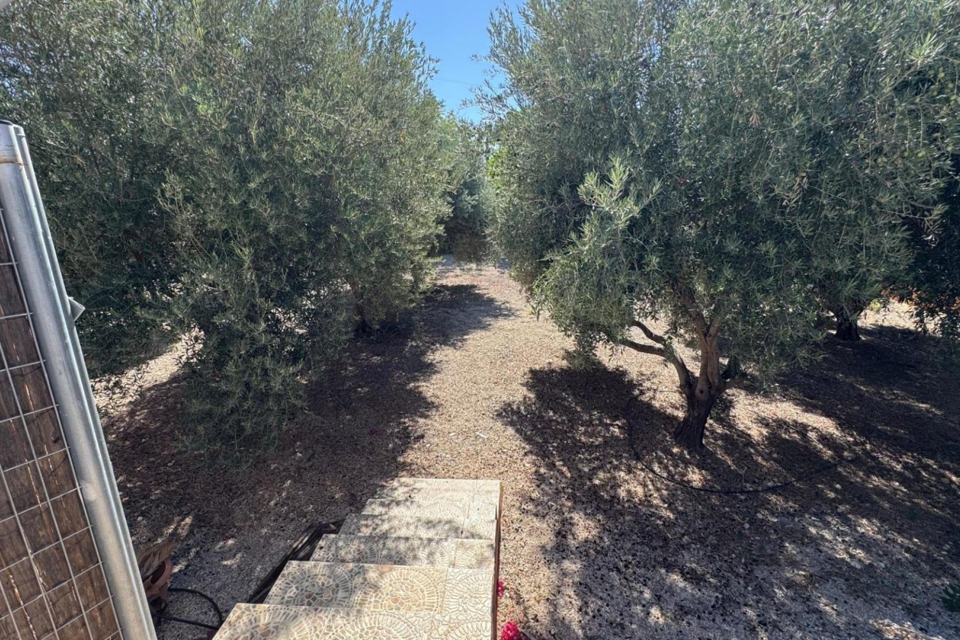 Reventa - Finca / Casa Rural - Albatera - BARRANCO SAN CAYETANO