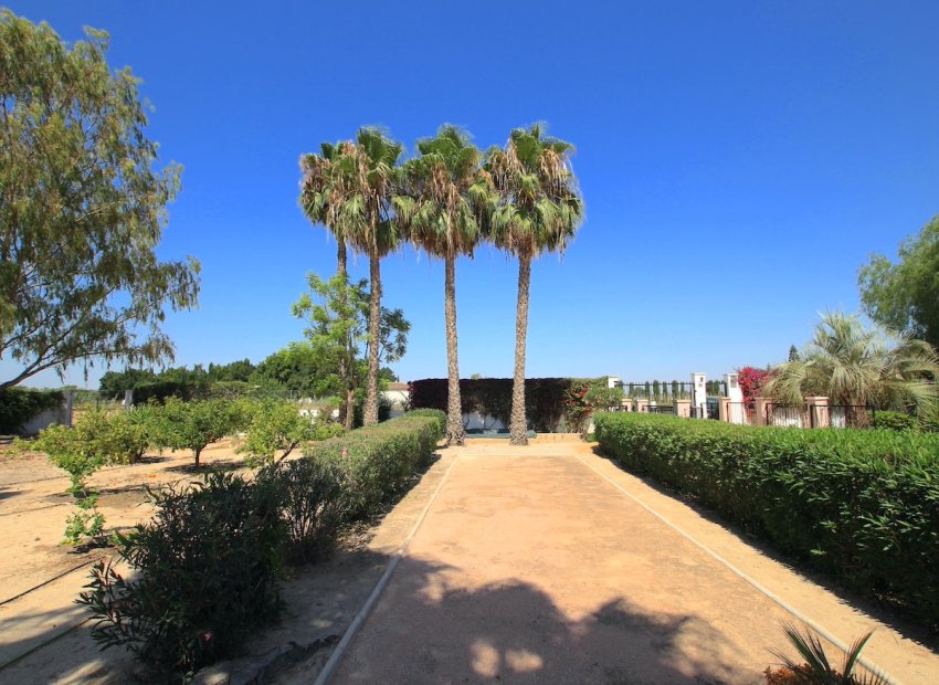 Reventa - Finca / Casa Rural - Daya Vieja