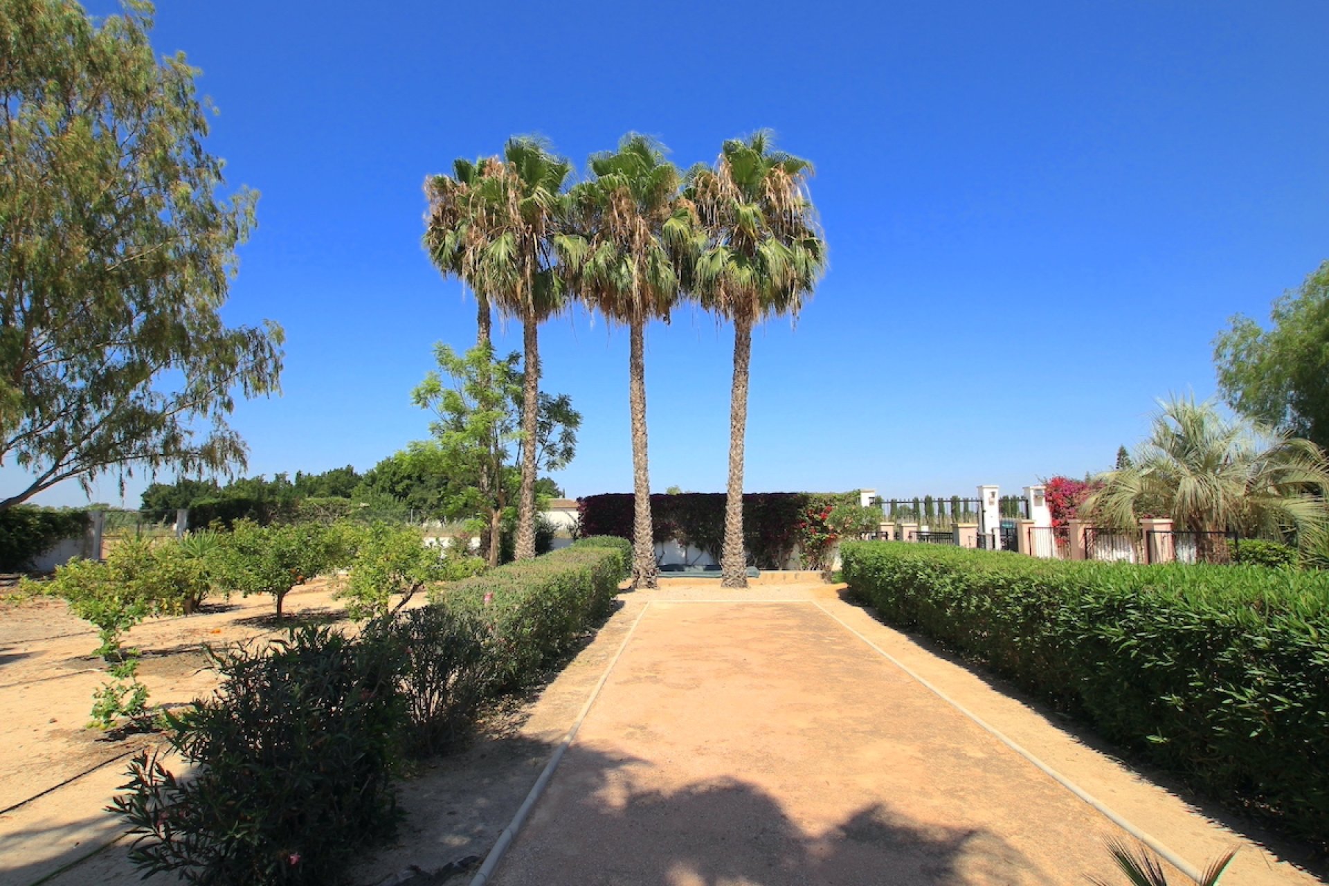 Reventa - Finca / Casa Rural - Daya Vieja