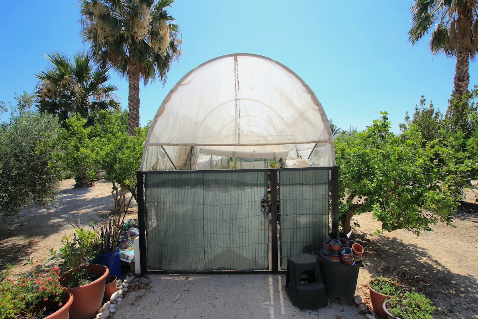 Reventa - Finca / Casa Rural - Daya Vieja