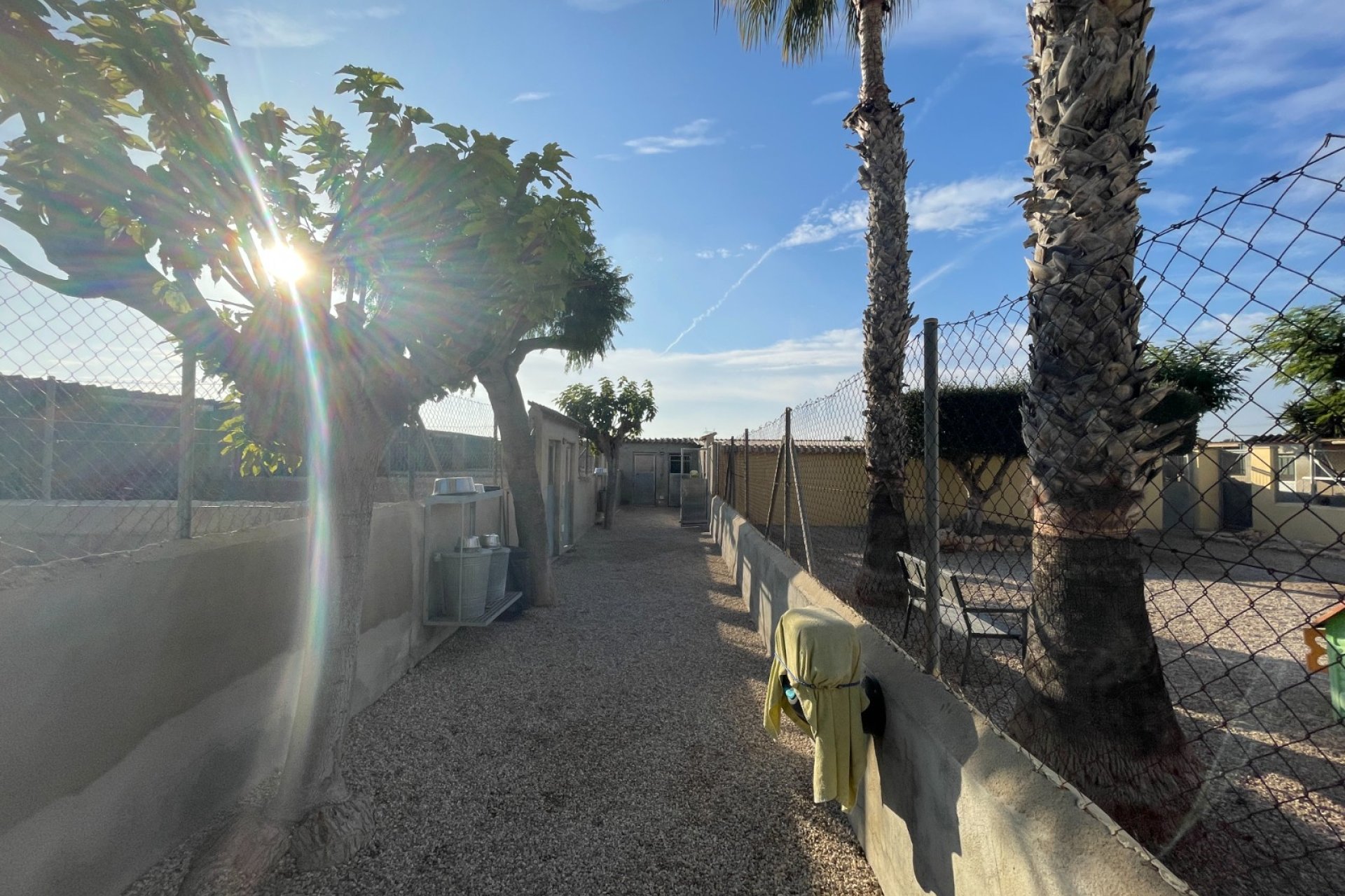 Reventa - Finca / Casa Rural - Elche - Las Bayas