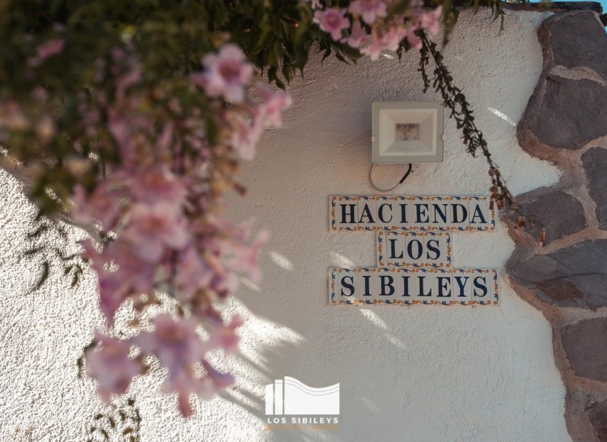 Reventa - Finca / Casa Rural - Lorca