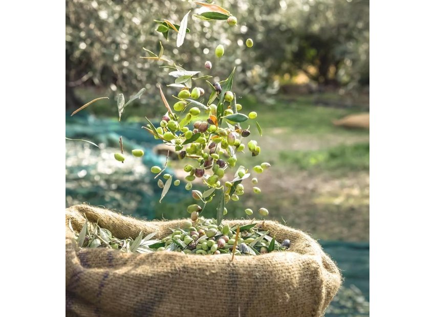 Reventa - Finca / Casa Rural - Murcia - Rincón de Seca