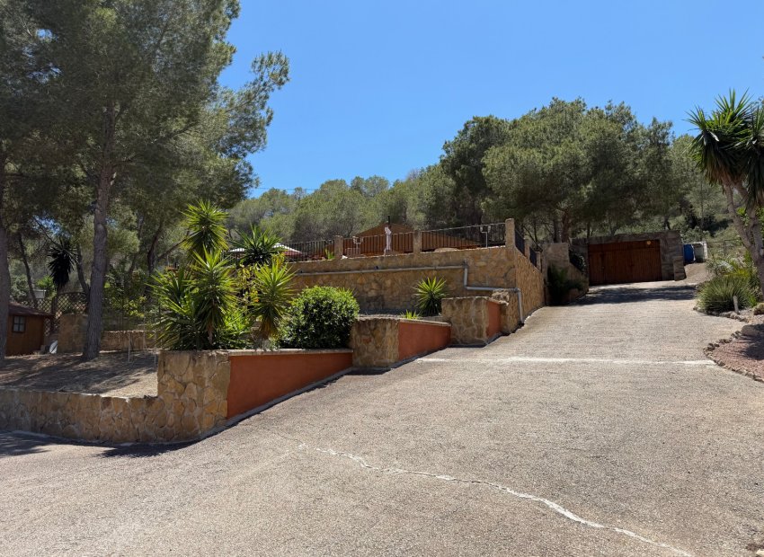 Reventa - Finca / Casa Rural - Orihuela - Torremendo