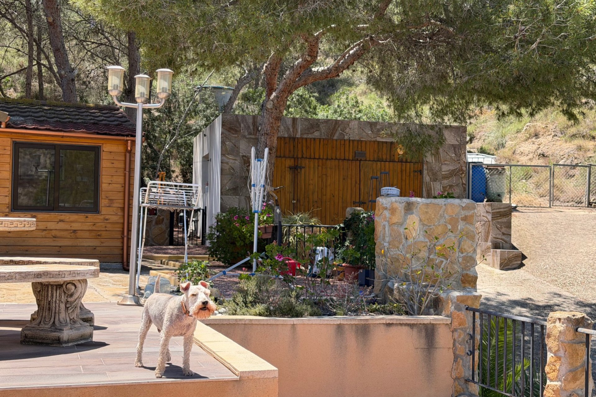 Reventa - Finca / Casa Rural - Orihuela - Torremendo