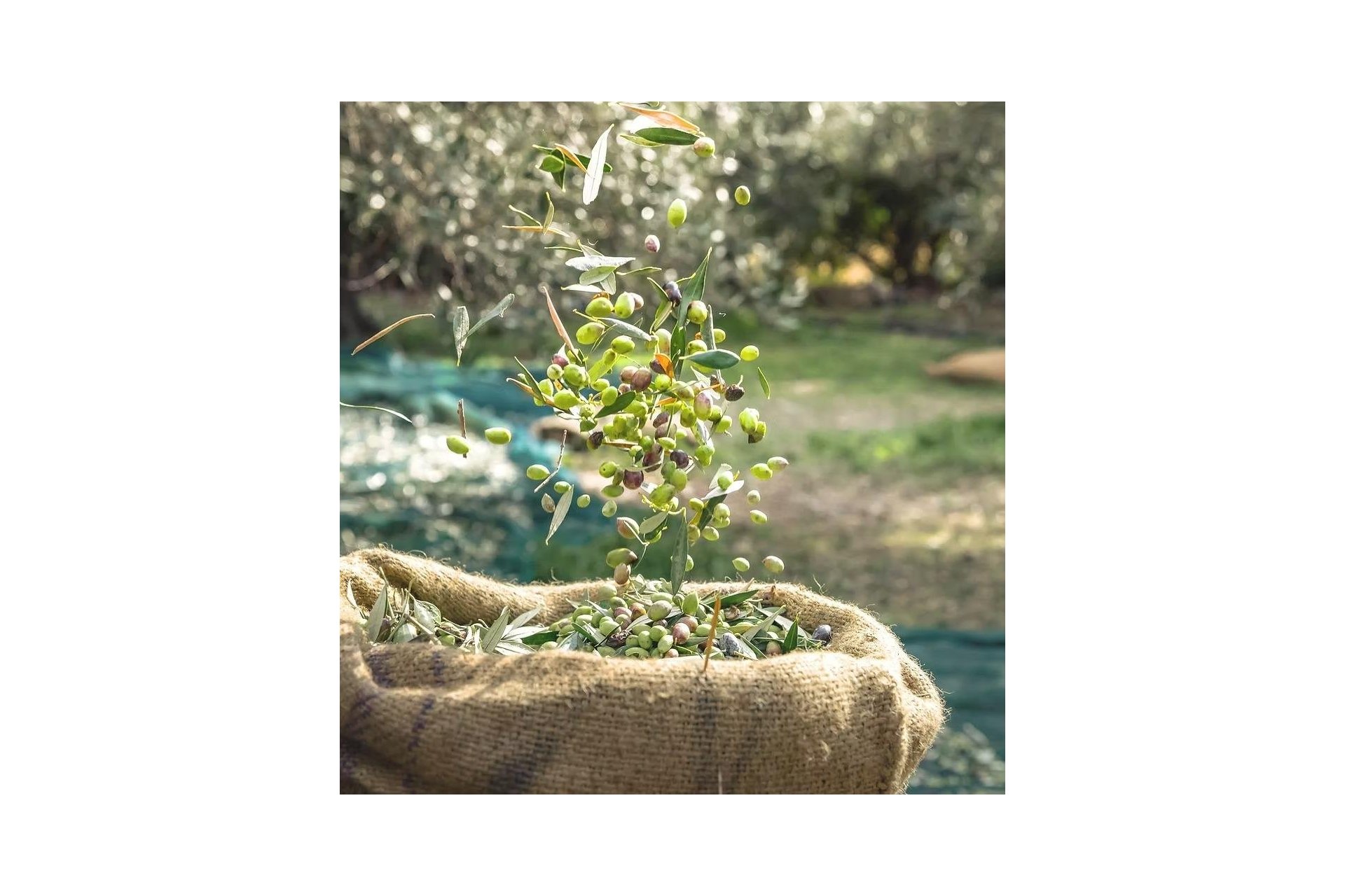 Reventa - Finca / Casa Rural - Puerto Lumbreras - Nogalte