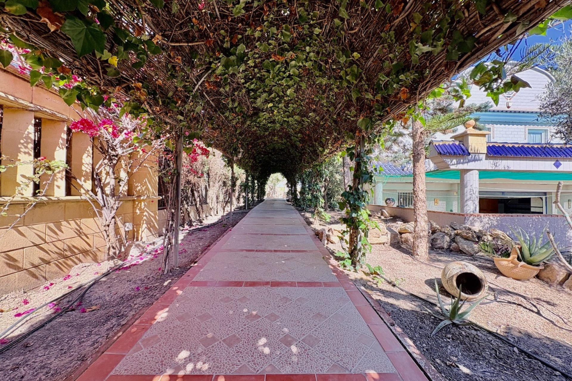Reventa - Finca / Casa Rural - San Fulgencio - La Marina