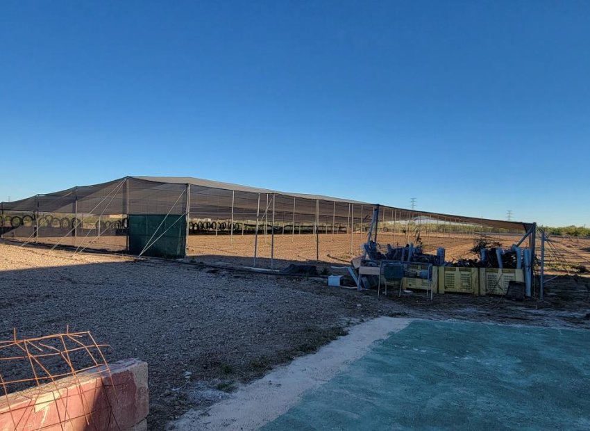 Reventa - Finca / Casa Rural - San Miguel de Salinas