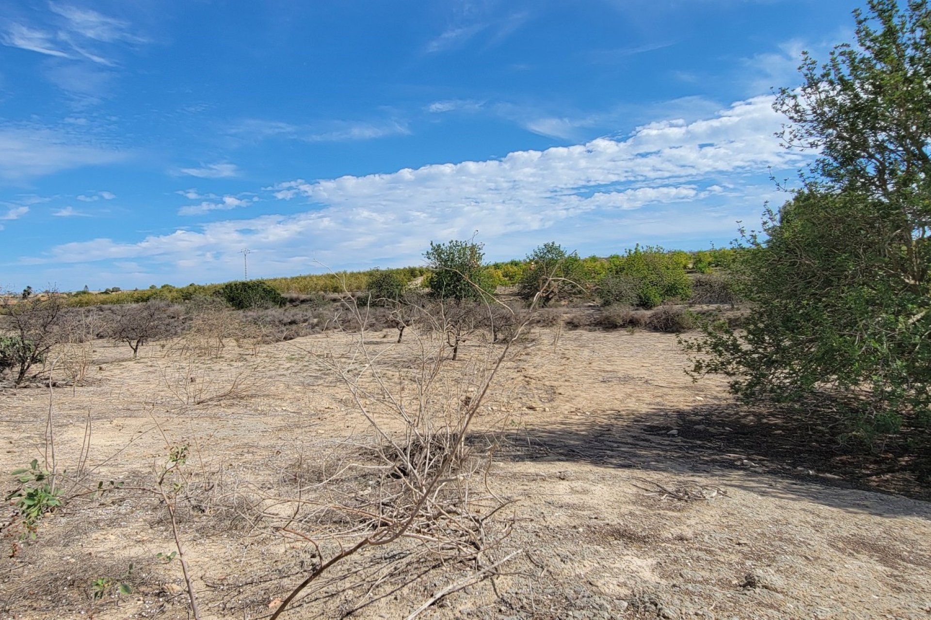 Reventa - Finca / Casa Rural - San Miguel de Salinas