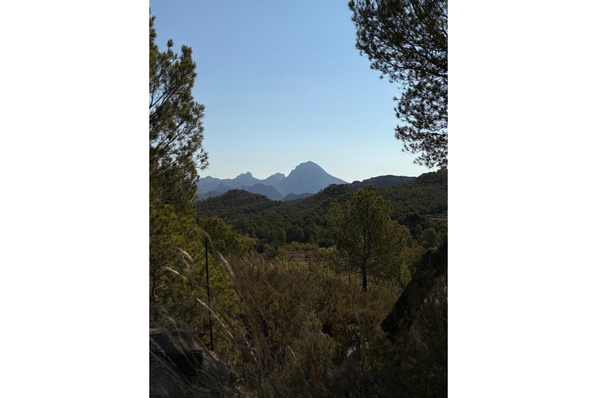 Reventa - Finca / Casa Rural - Villajoyosa - El Secanet - Hacienda del Sol