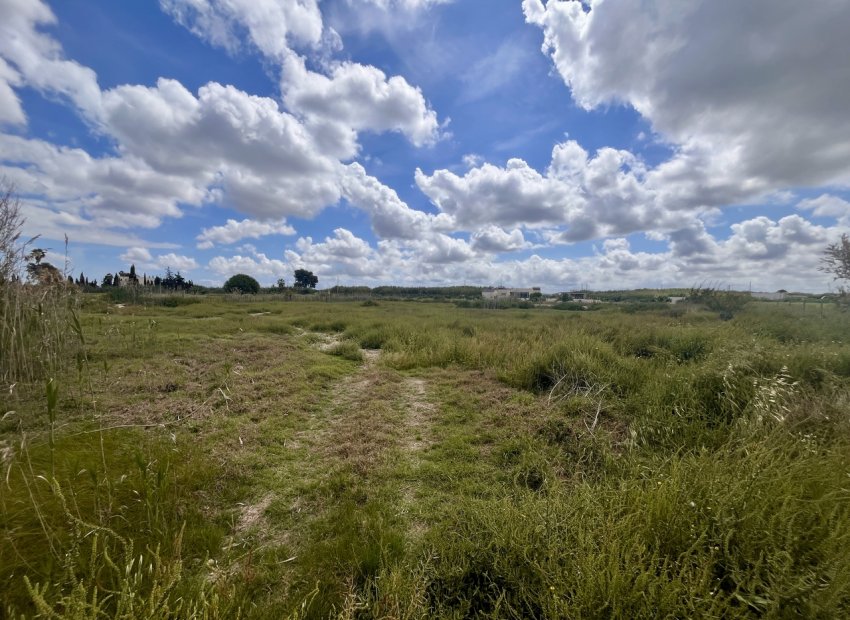 Reventa - Parcela - Catral