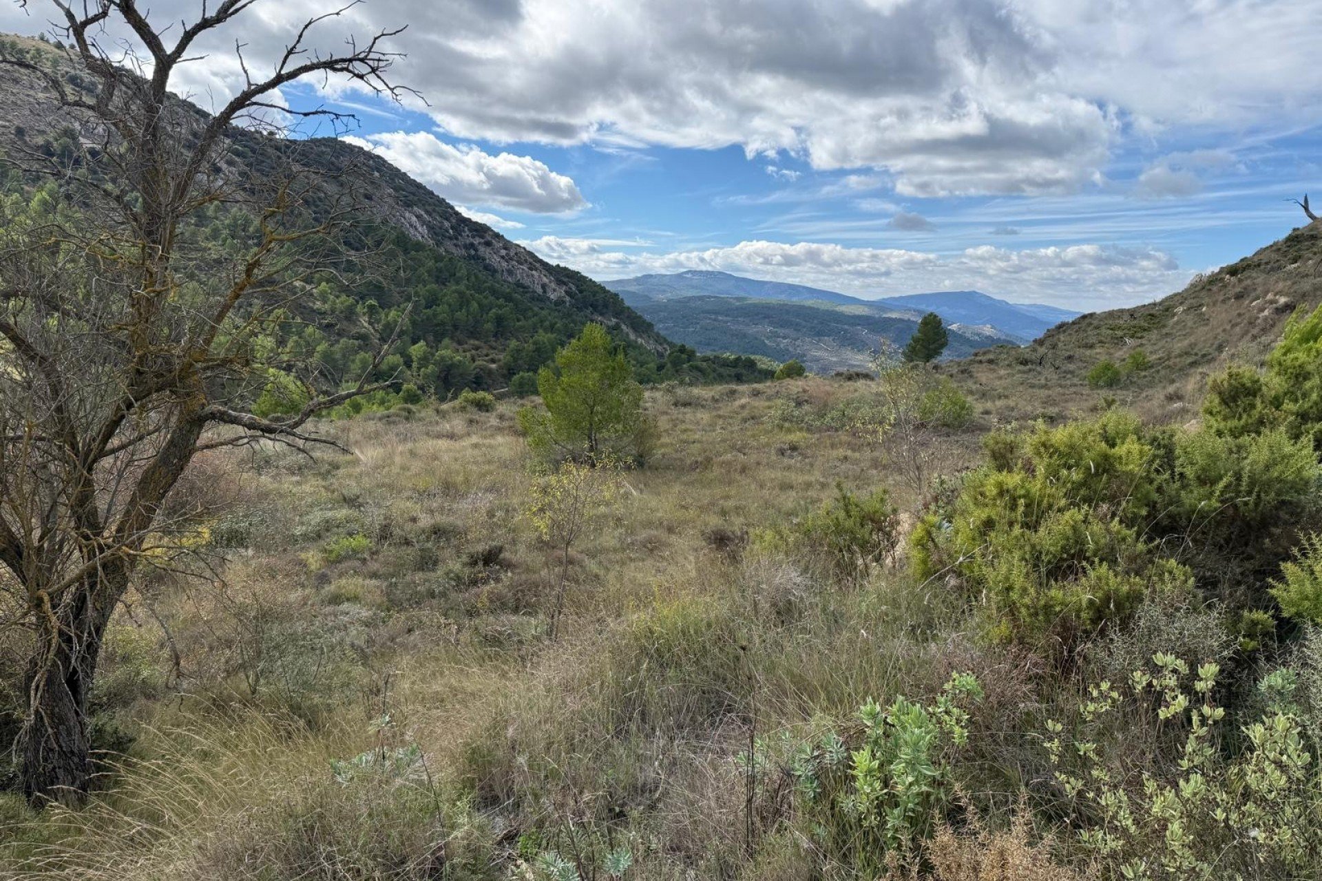 Reventa - Parcela - Confrides - Barranc de Xarquera