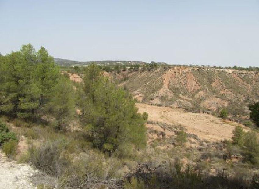 Reventa - Parcela - Murcia