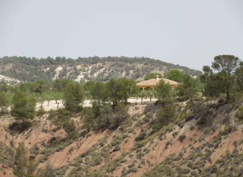 Reventa - Parcela - Murcia