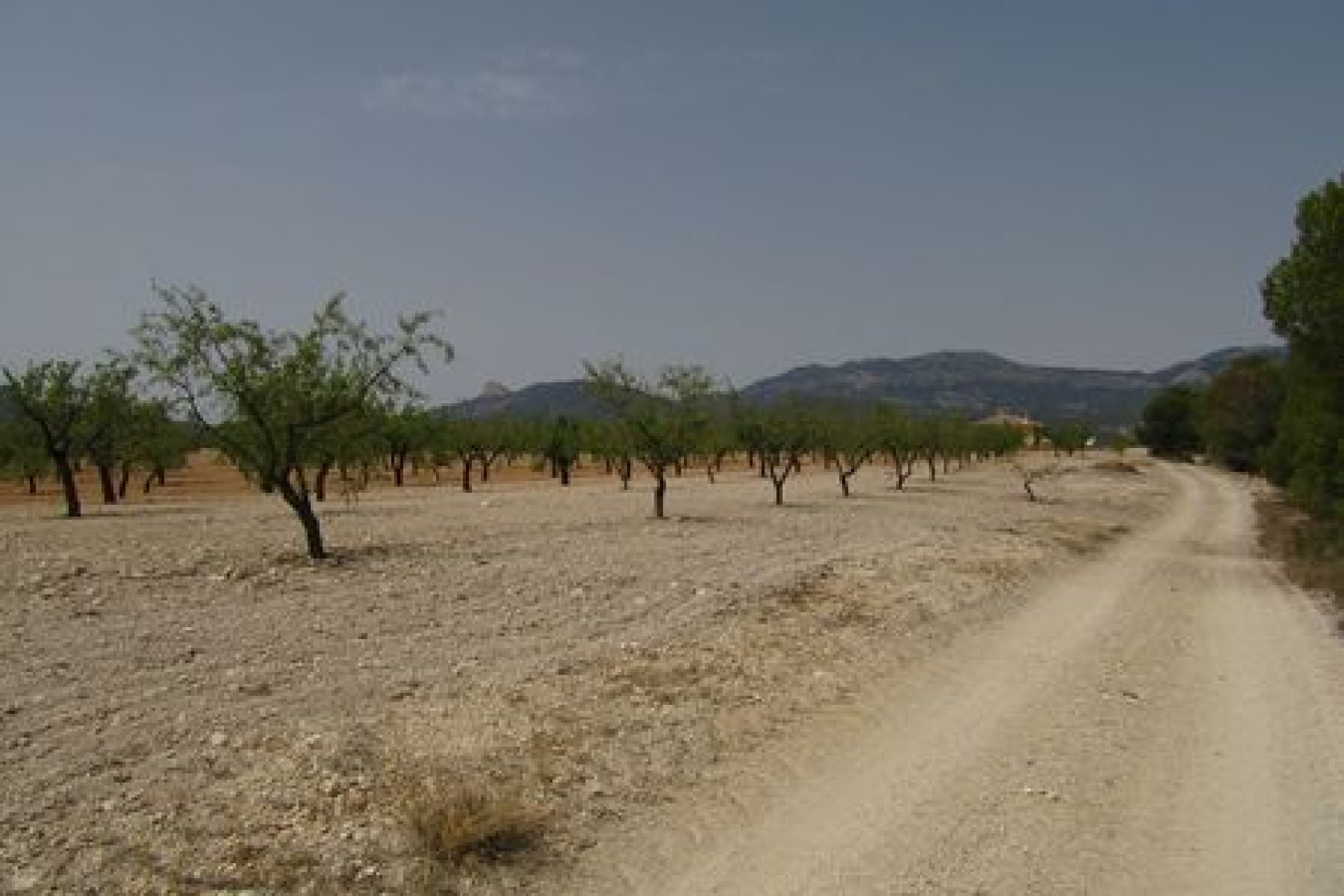 Reventa - Parcela - Murcia