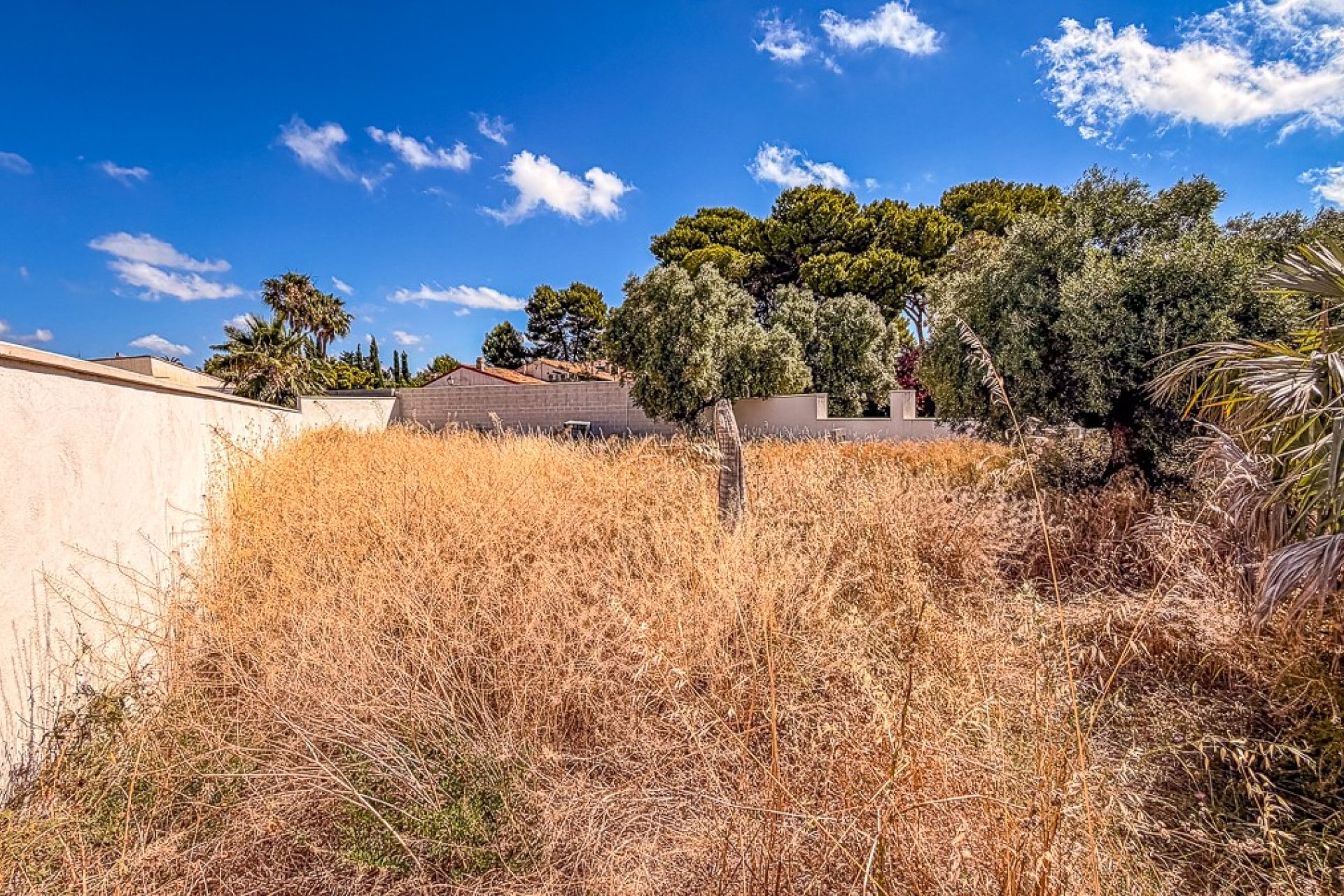 Reventa - Parcela - Santiago de la Ribera - zona san blas