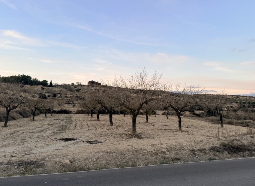 Reventa - Parcela - Torremendo - Costa Blanca