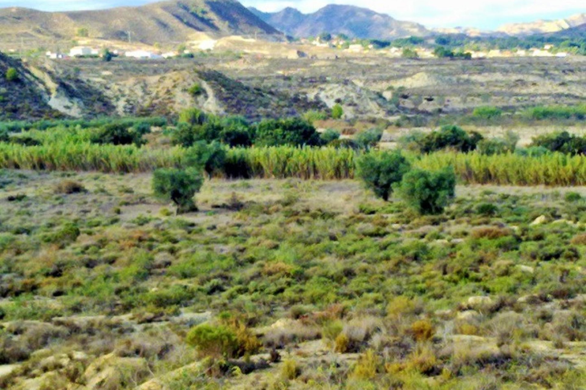 Reventa - Parcela - Torremendo