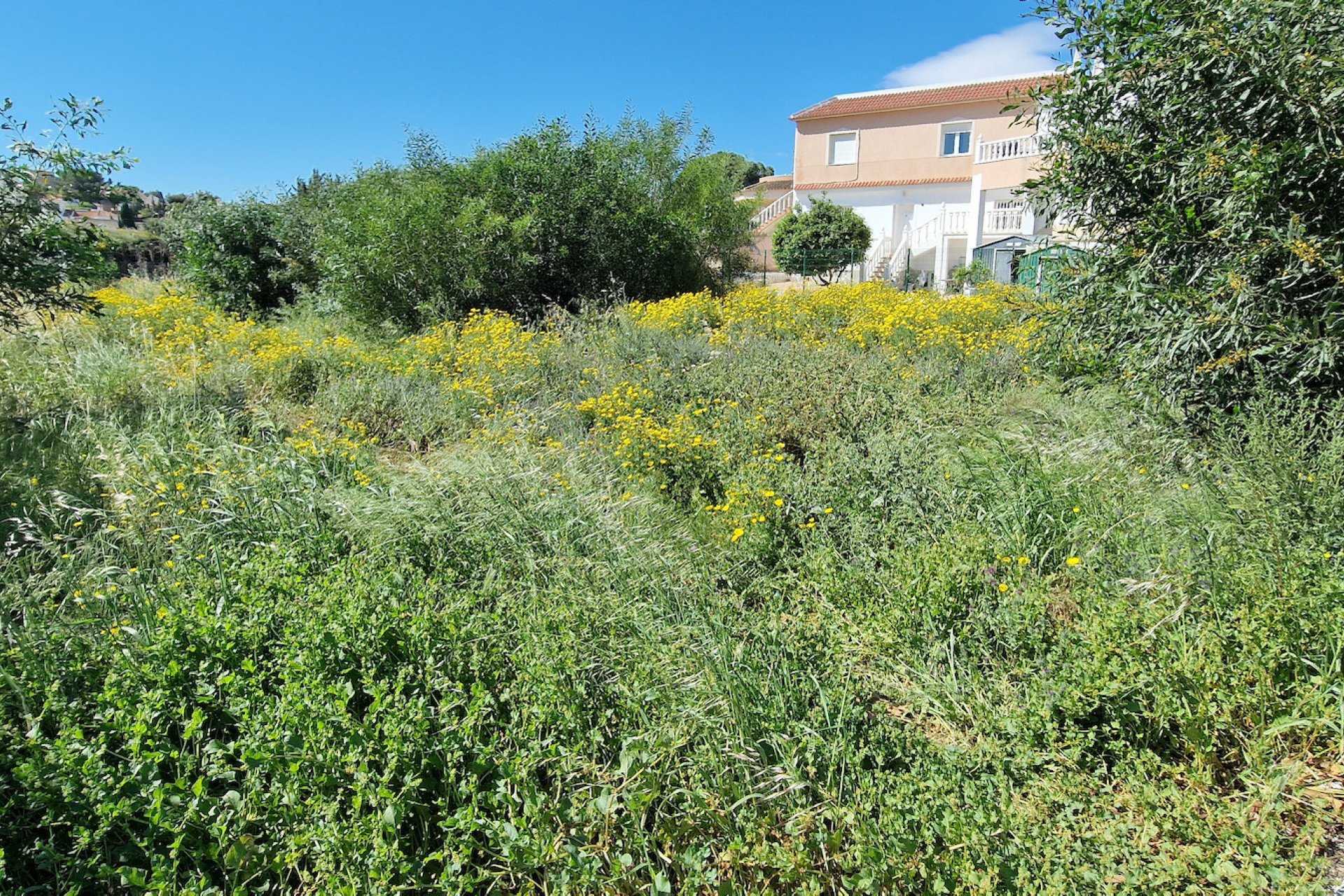 Reventa - Parcela - Torrevieja