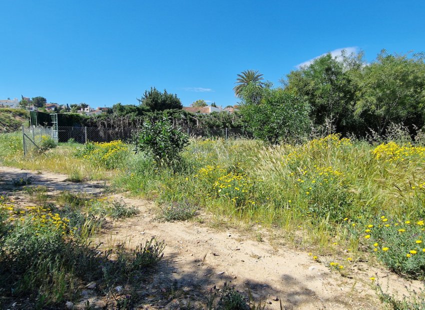Reventa - Parcela - Torrevieja