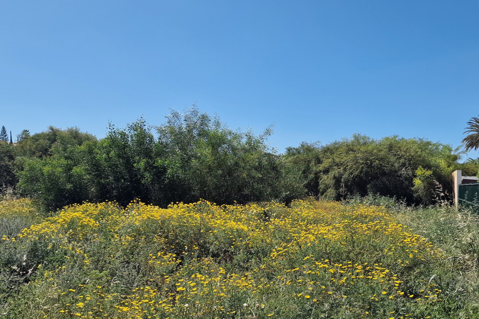 Reventa - Parcela - Torrevieja
