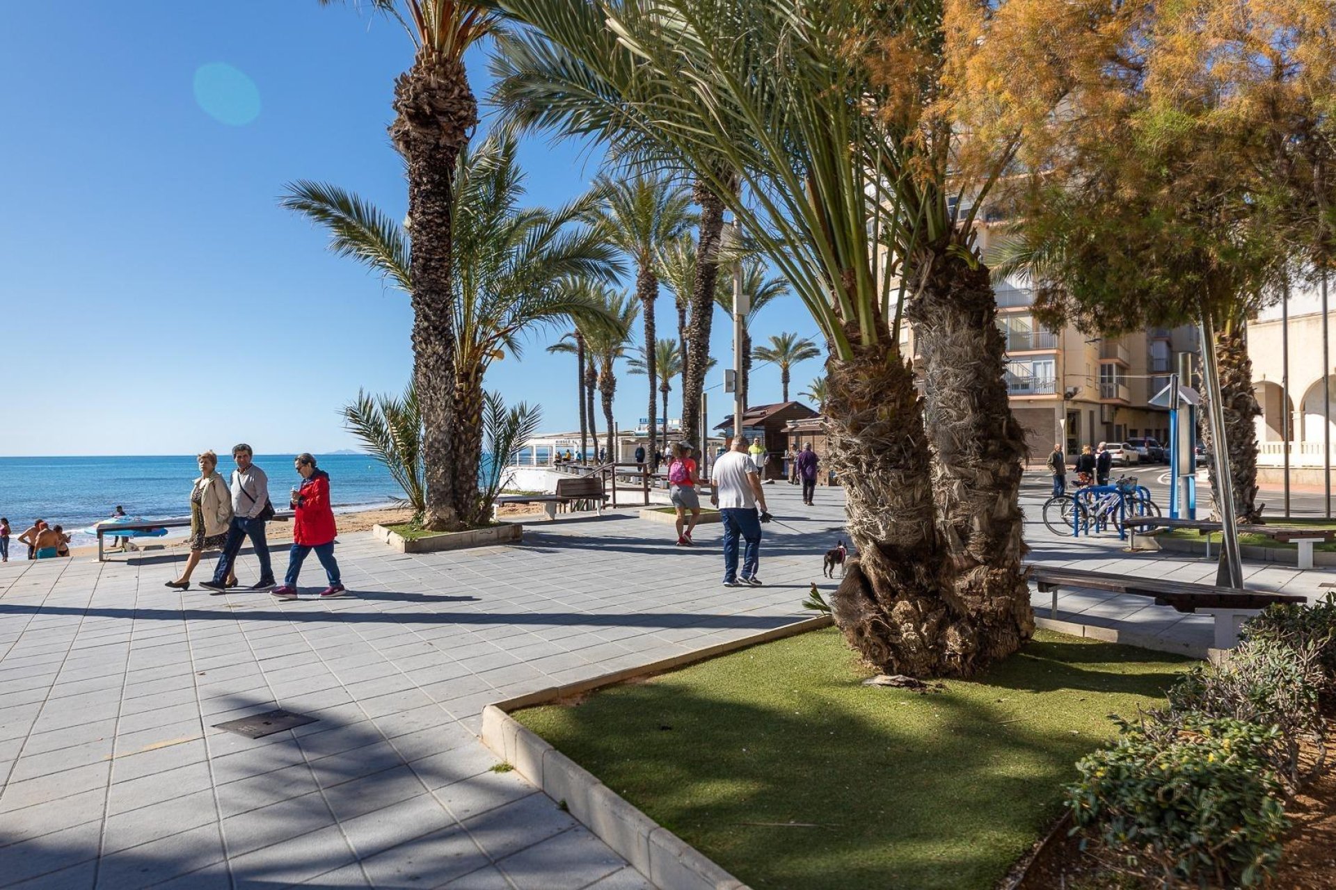 Reventa - Terraced house - Torrevieja - Estacion de autobuses