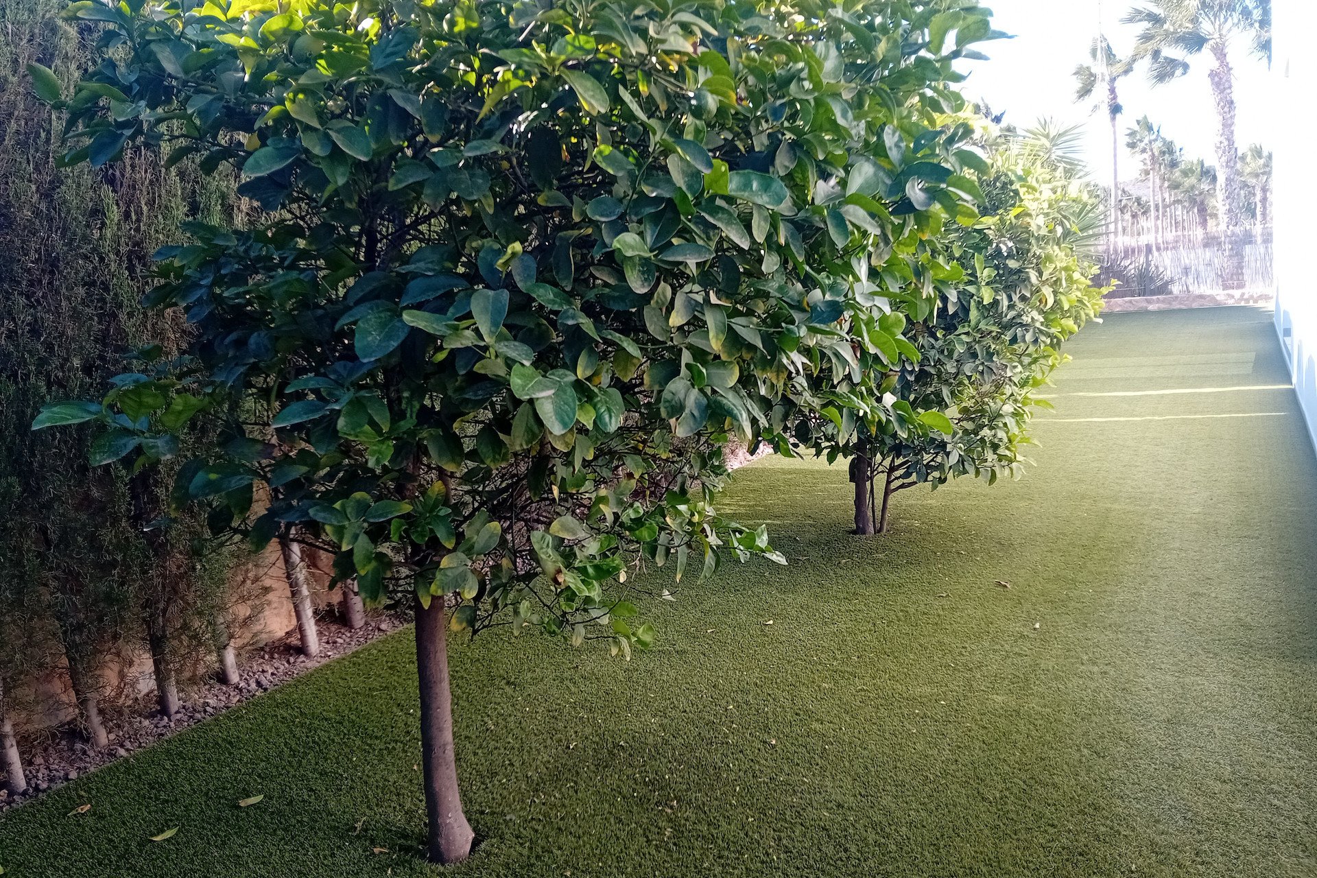 Reventa - Villa - Algorfa - La Finca Golf