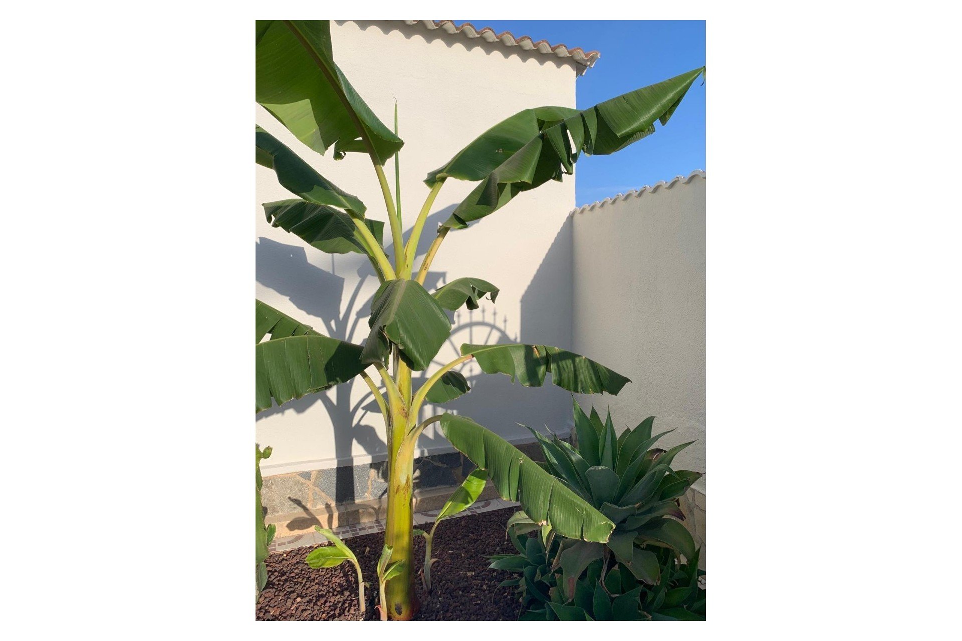 Reventa - Villa - Ciudad Quesada