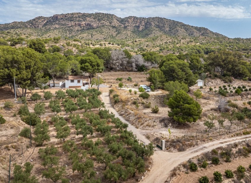 Reventa - Villa - LA TERCIA - La Tercia