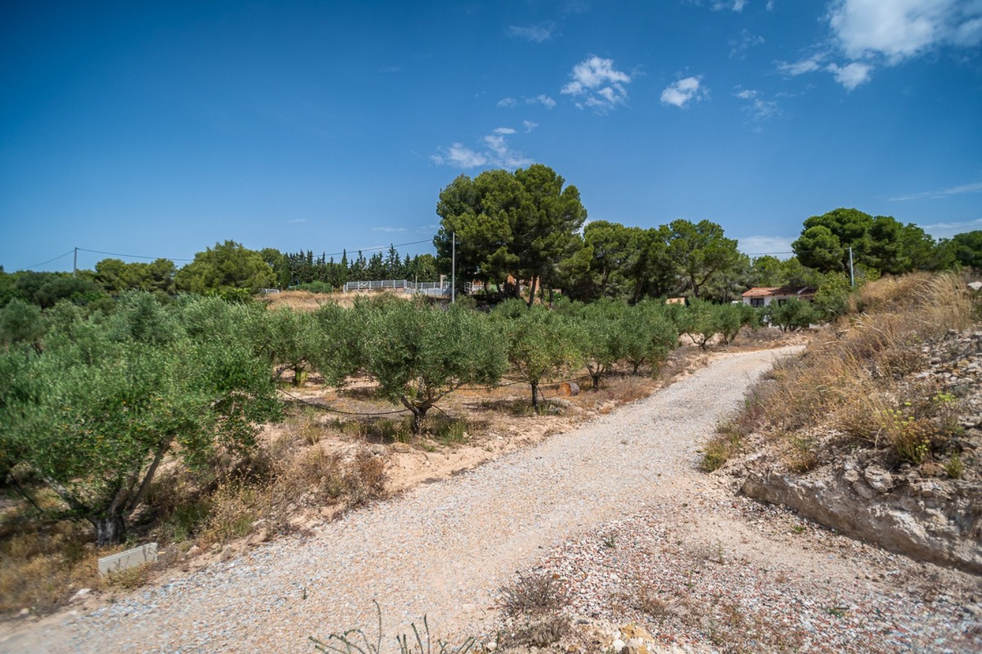 Reventa - Villa - LA TERCIA - La Tercia