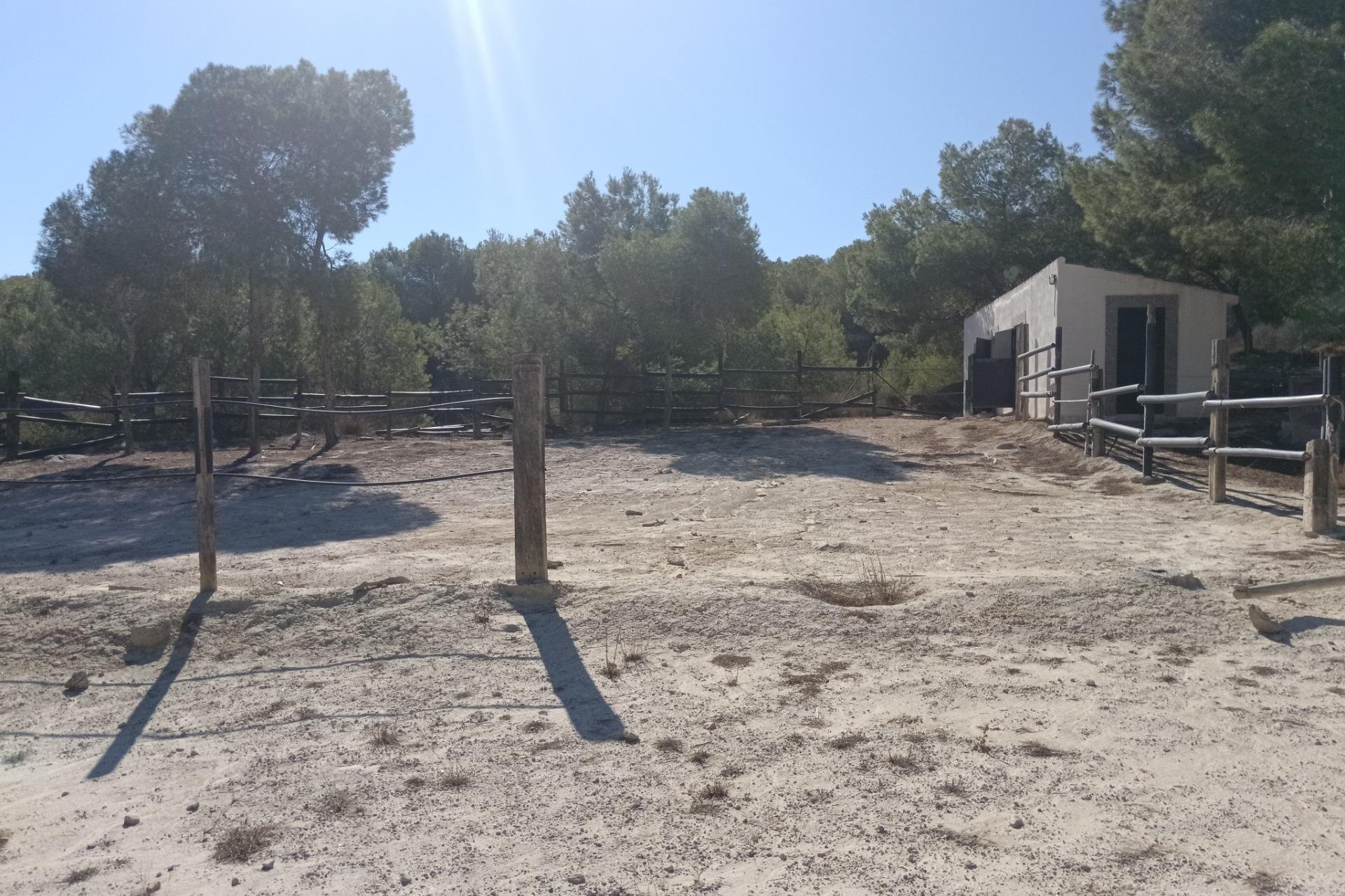 Reventa - Villa - Orihuela - Torremendo