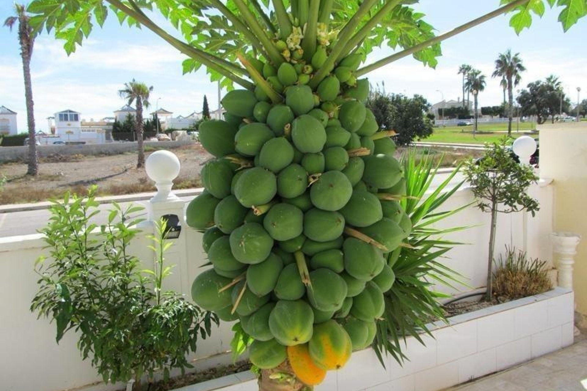 Reventa - Villa - Torrevieja - Aguas Nuevas
