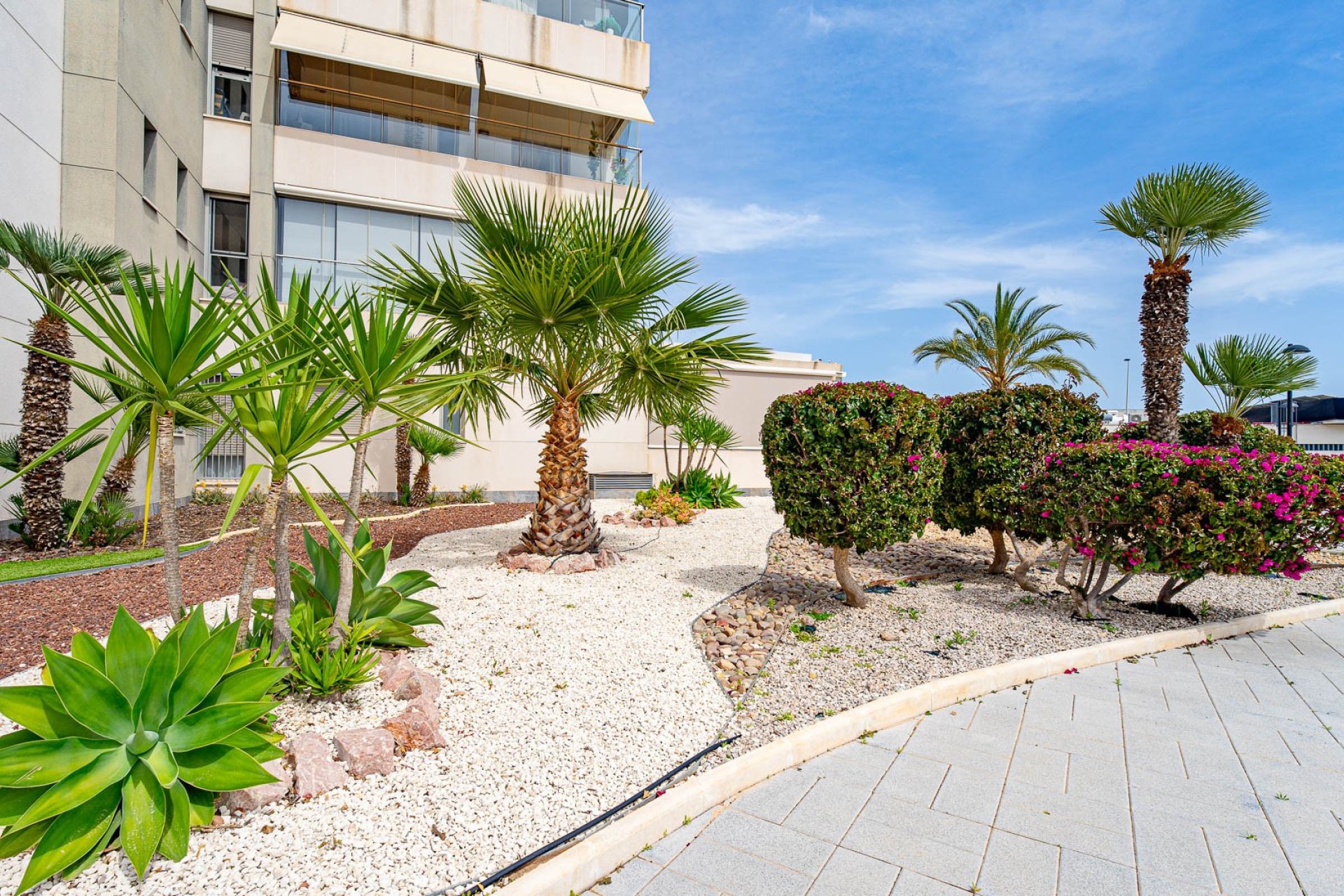 Revente - Apartament - Orihuela-Costa - Los Dolses