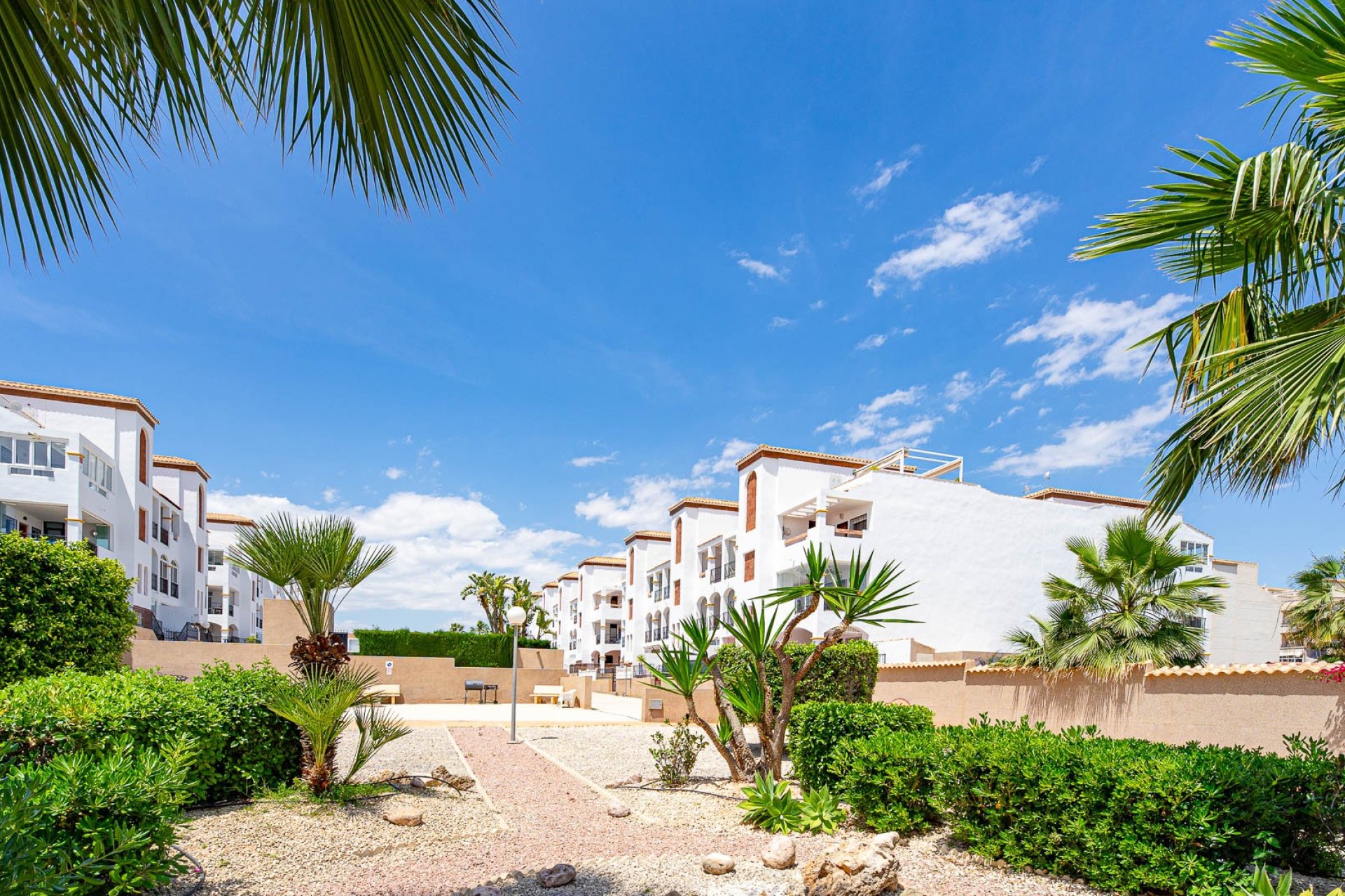 Revente - Apartament - Punta Prima - La Ciñuelica