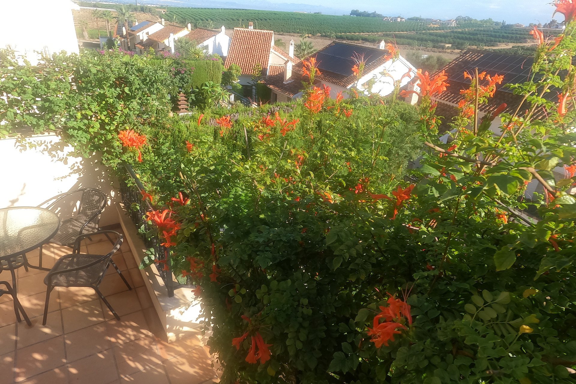 Revente - Appartement - Algorfa - La Finca Golf