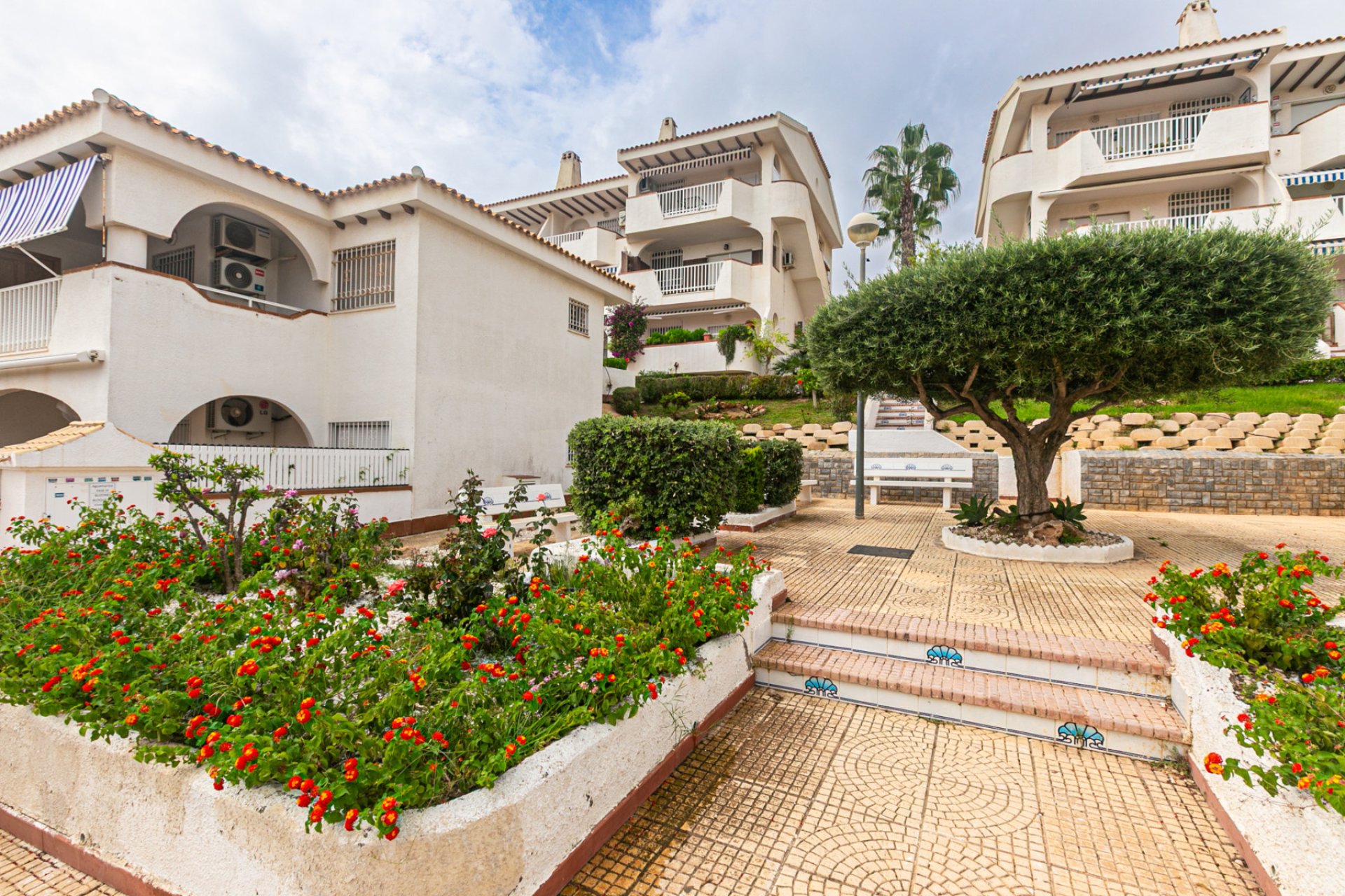 Revente - Appartement - Cabo Roig