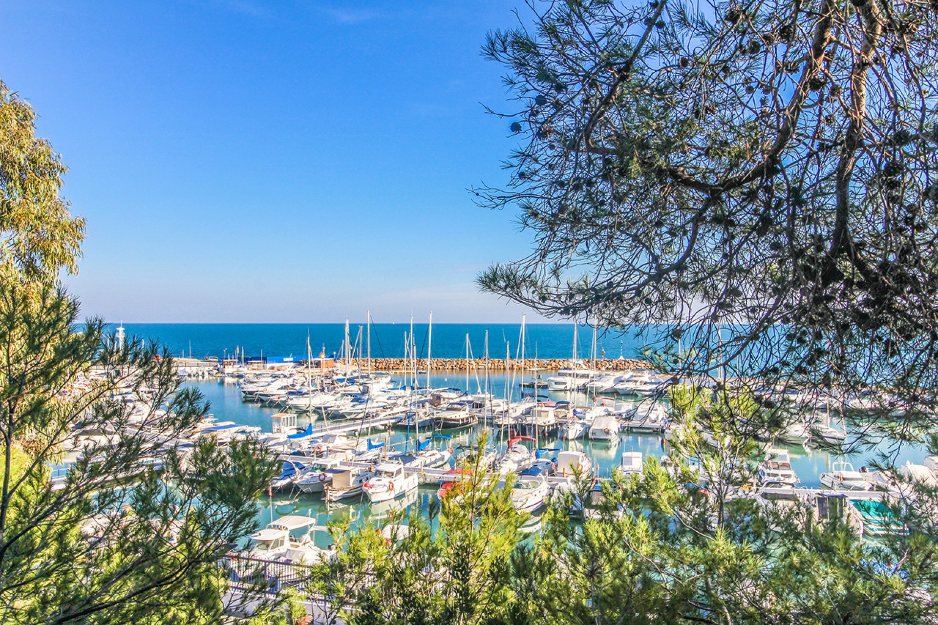 Revente - Appartement - Campoamor - Dehesa de Campoamor