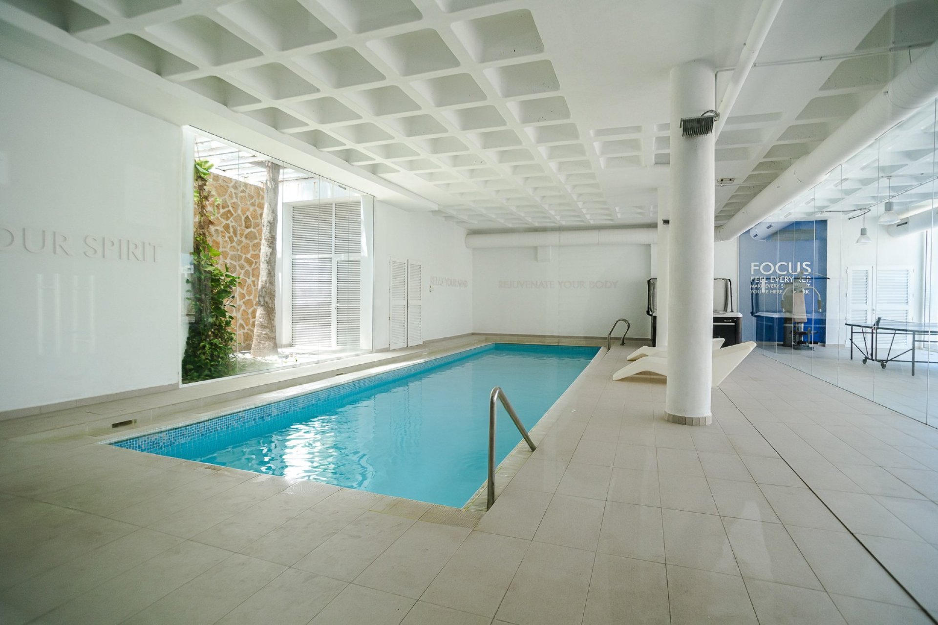 Revente - Appartement - Guardamar del Segura