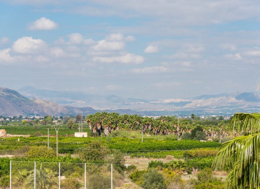 Revente - Appartement - Jacarilla