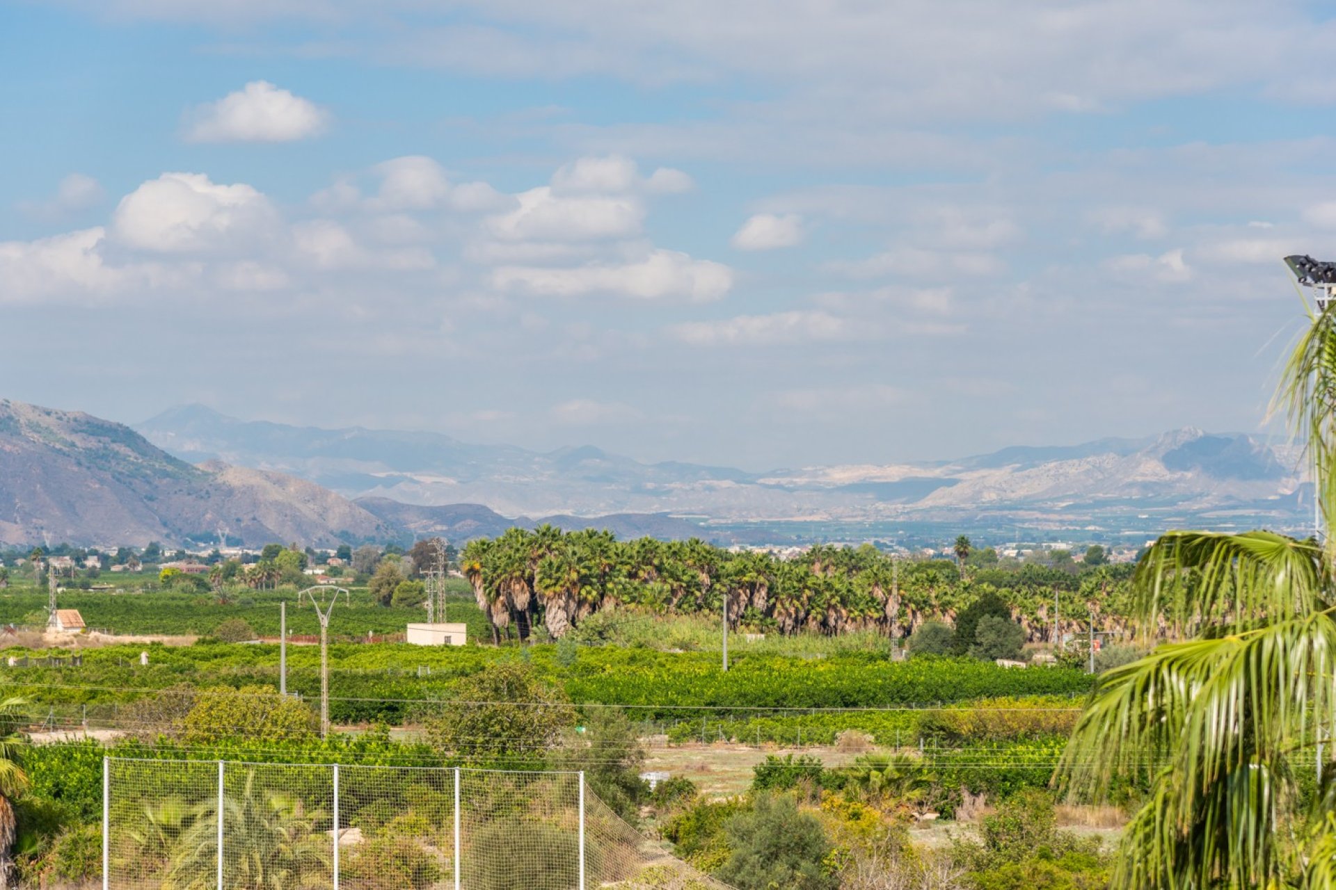 Revente - Appartement - Jacarilla