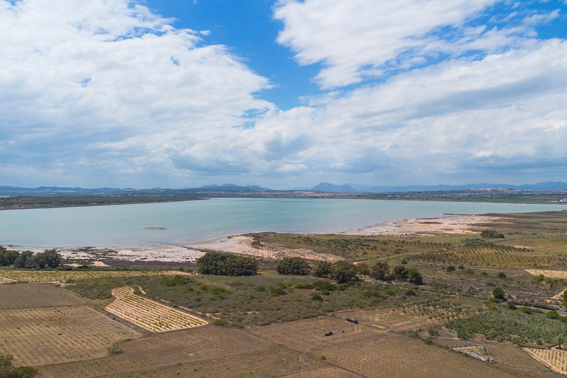 Revente - Appartement - La Mata - Playa