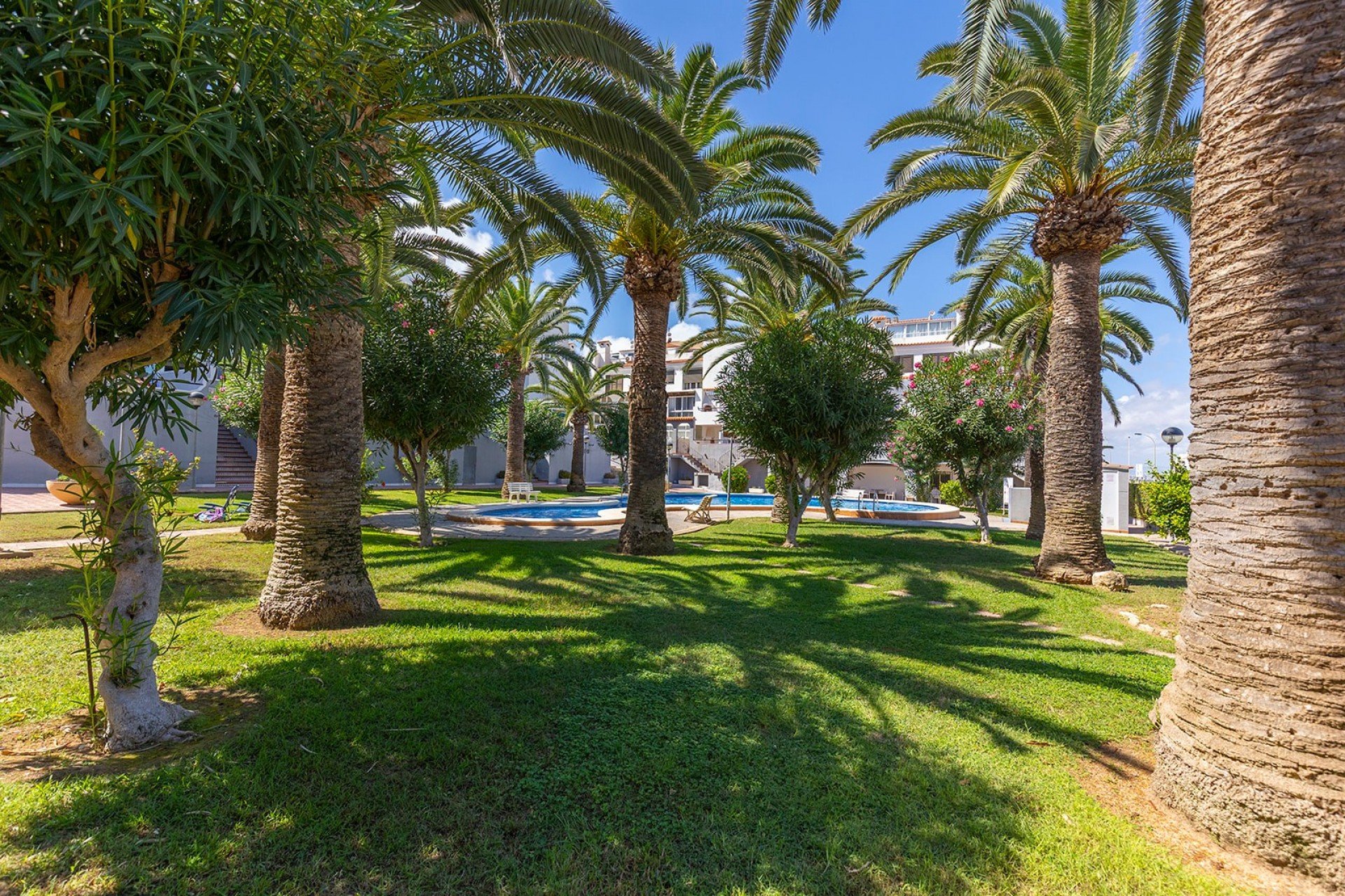 Revente - Appartement - La Mata